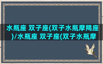 水瓶座 双子座(双子水瓶摩羯座)/水瓶座 双子座(双子水瓶摩羯座)-我的网站